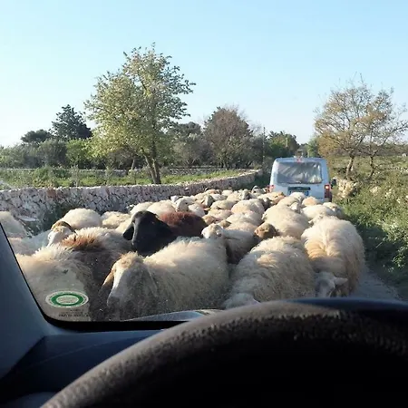 Trullo La Difesa Prázdninový dům *