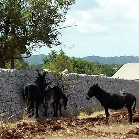 Prázdninový dům Trullo La Difesa *